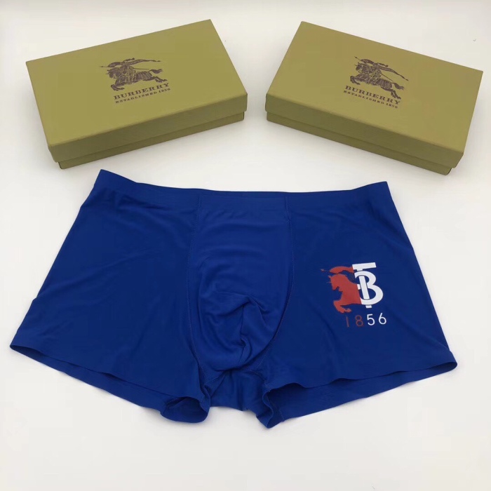 Underpants Top 3 Pieces