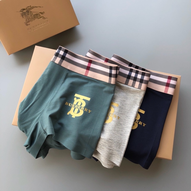 Underpants Top 3 Pieces