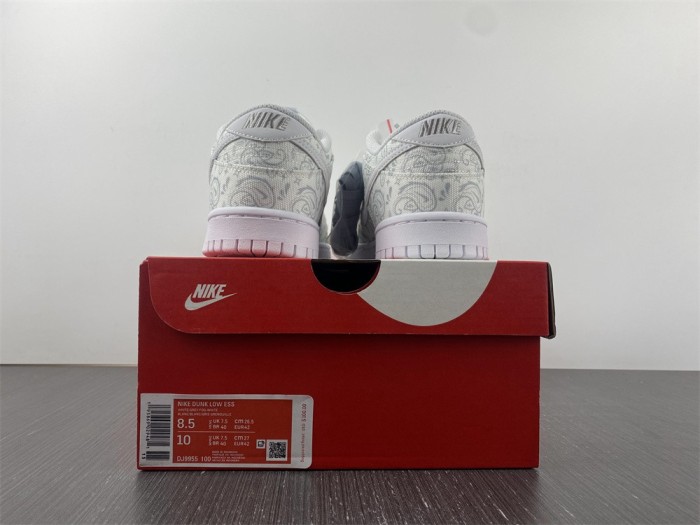 Nike Dunk Low DJ9955-100