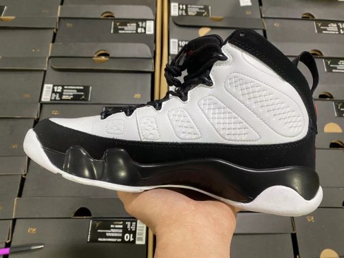 Air Jordan 9 302370-112