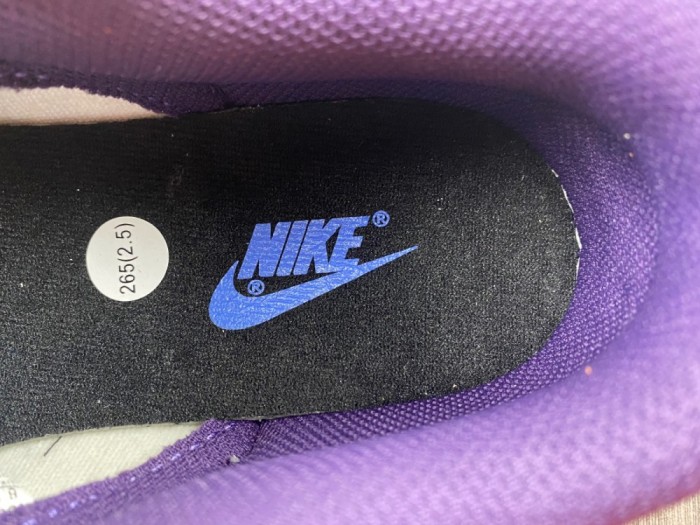 SB Dunk Low Chenille Swoosh DQ7683-100