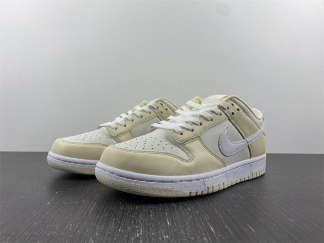 SB Dunk Low DJ6188-100