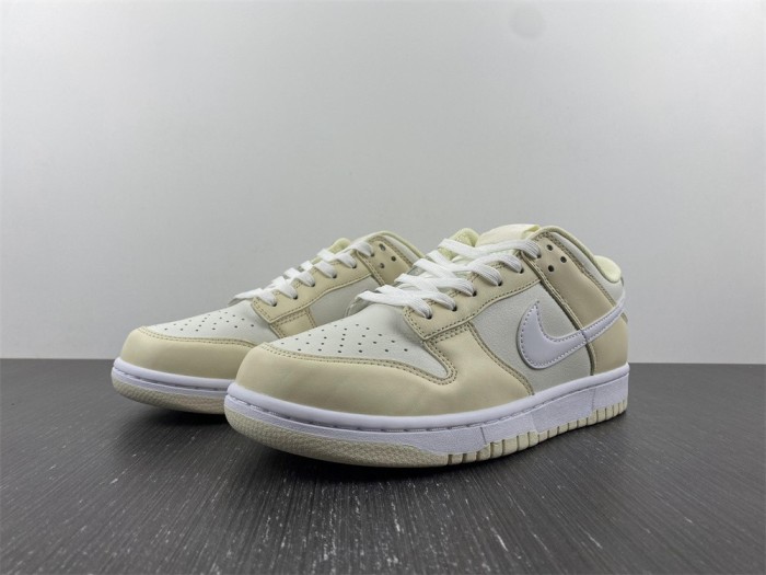 SB Dunk Low DJ6188-100