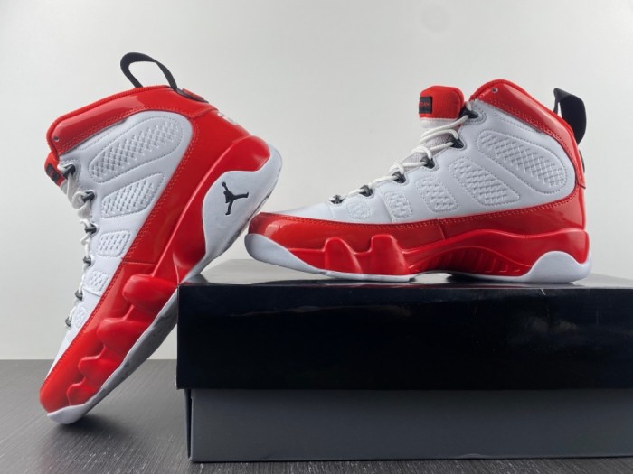 Air Jordan 9 302370-160