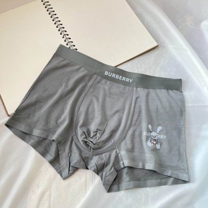 Underpants Top 3 Pieces