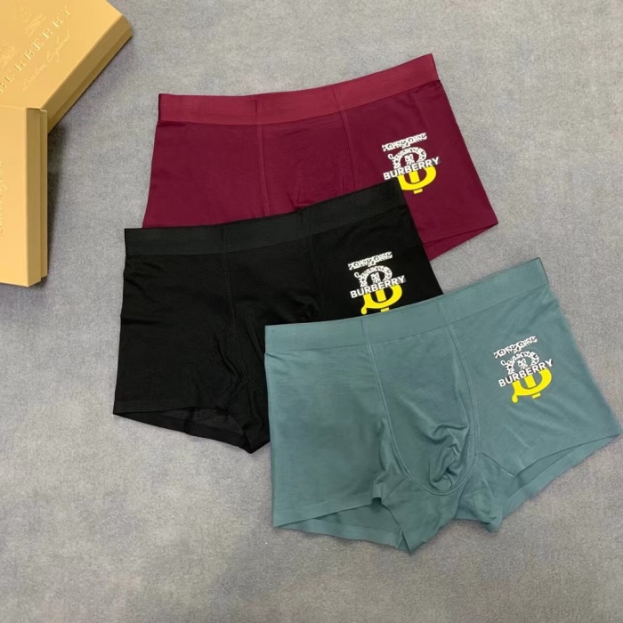 Underpants Top 3 Pieces