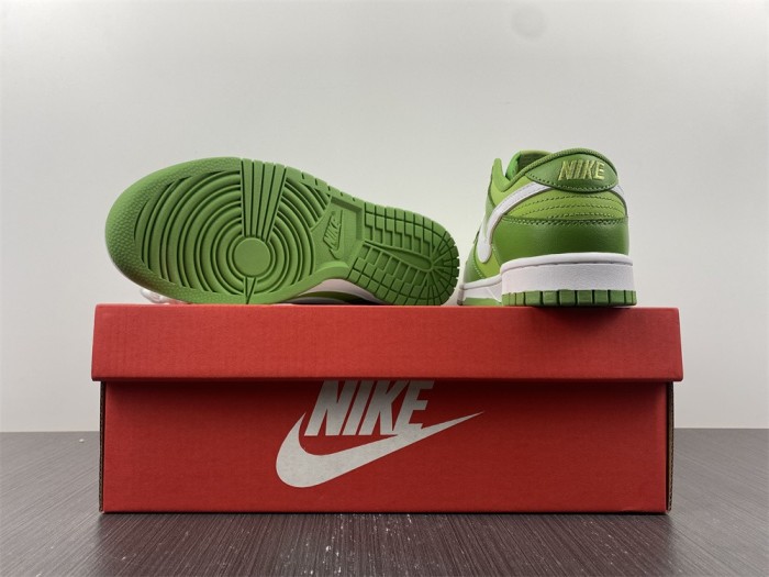 NIKE DUNK LOW DJ6188-300