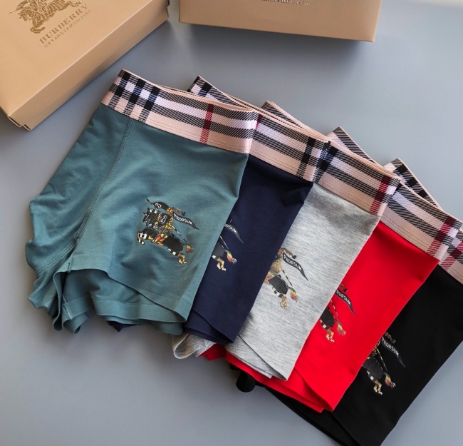 Underpants Top 3 Pieces