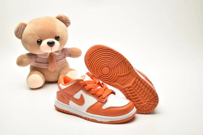 Kids SB Dunk Shoes