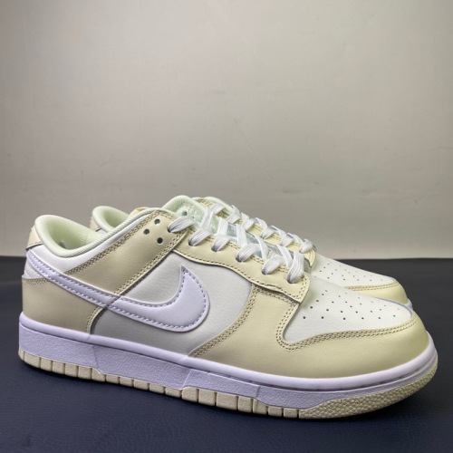 Nike SB Dunk Low DJ6188 100