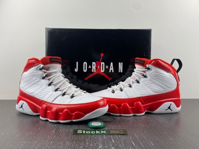 Air Jordan 9 302370-160