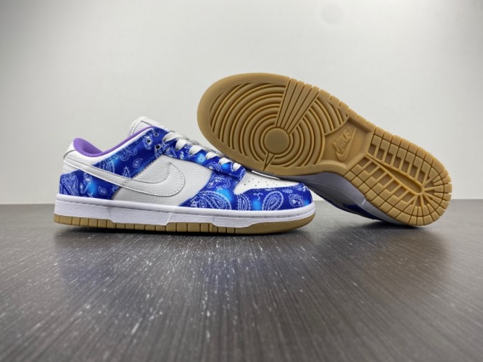 N*ike SB Dunk Low Retro SP CT5053-041