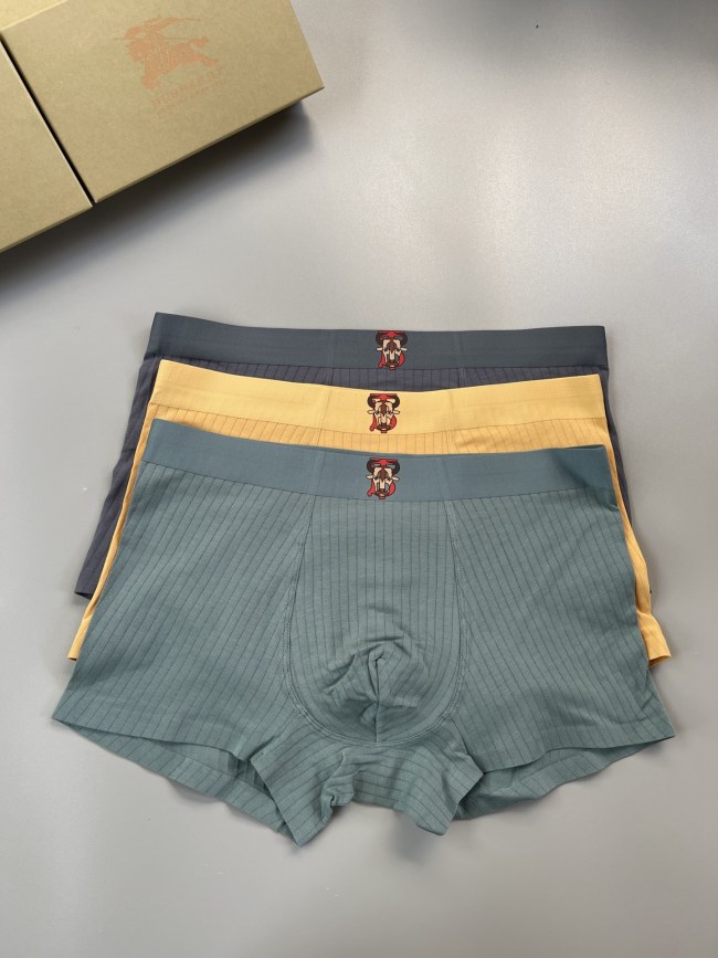 Underpants Top 3 Pieces