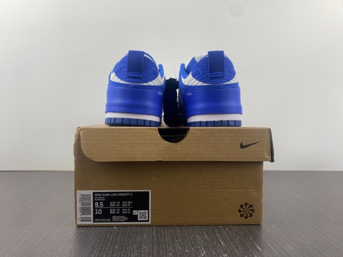 Nike Dunk Low Disrupt2 DH4402-001