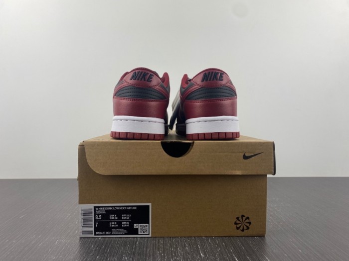 Nike Dunk Low DN1431-002