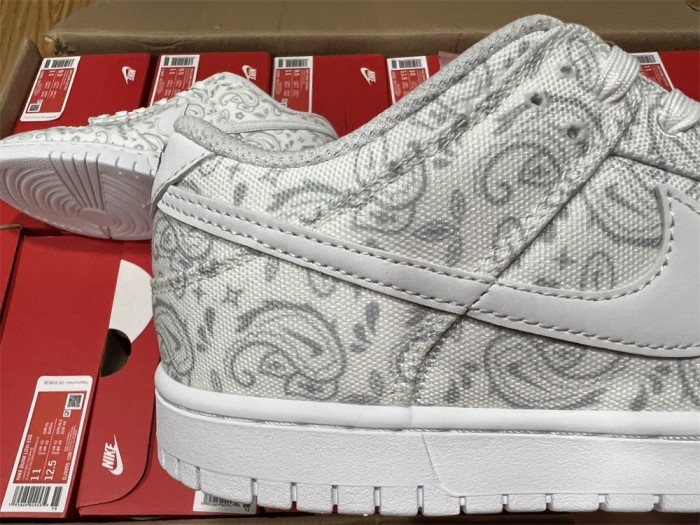 Nike Dunk Low DJ9955-100