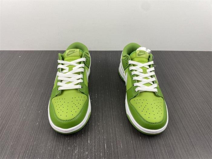 NIKE DUNK LOW DJ6188-300