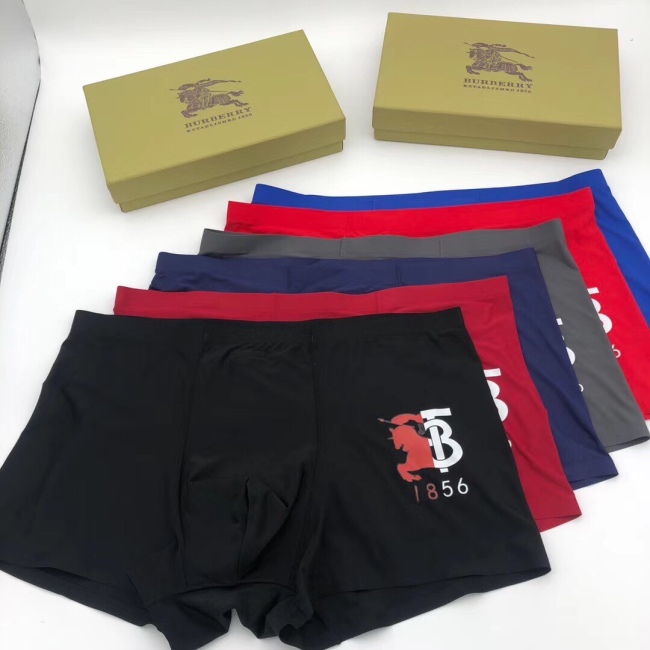 Underpants Top 3 Pieces
