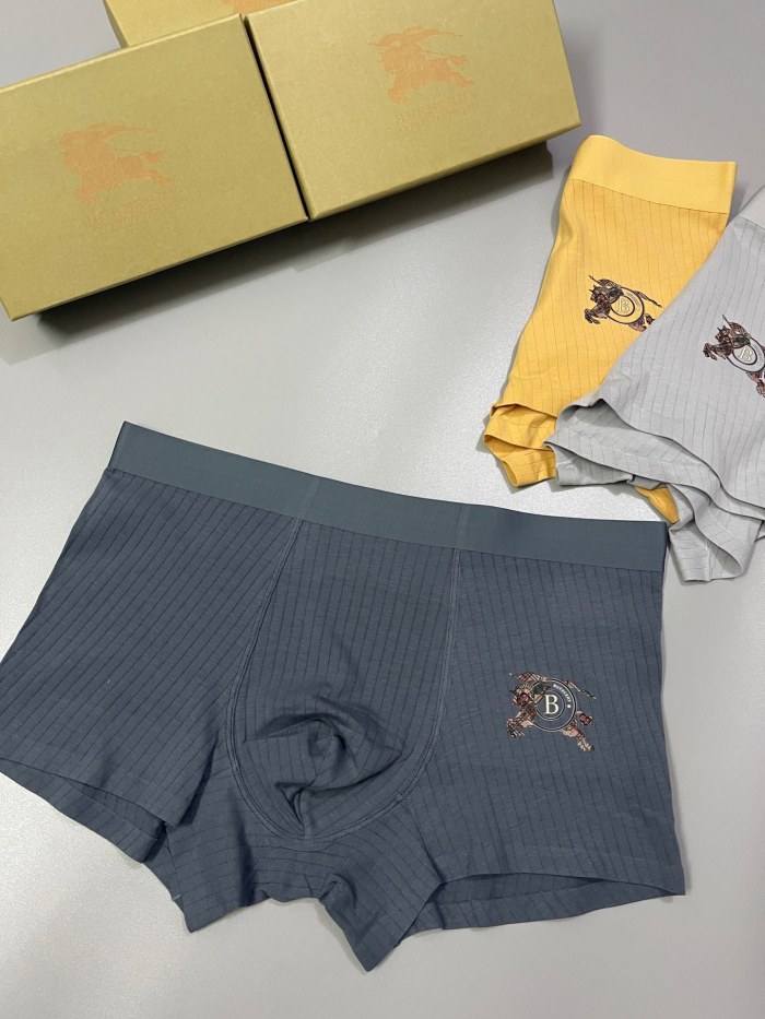 Underpants Top 3 Pieces