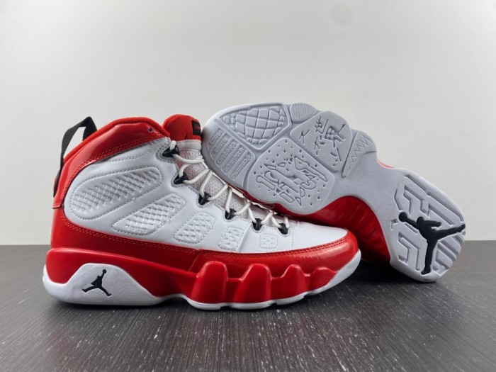 Air Jordan 9 302370-160