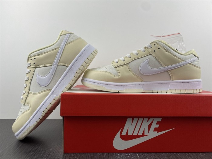 SB Dunk Low DJ6188-100