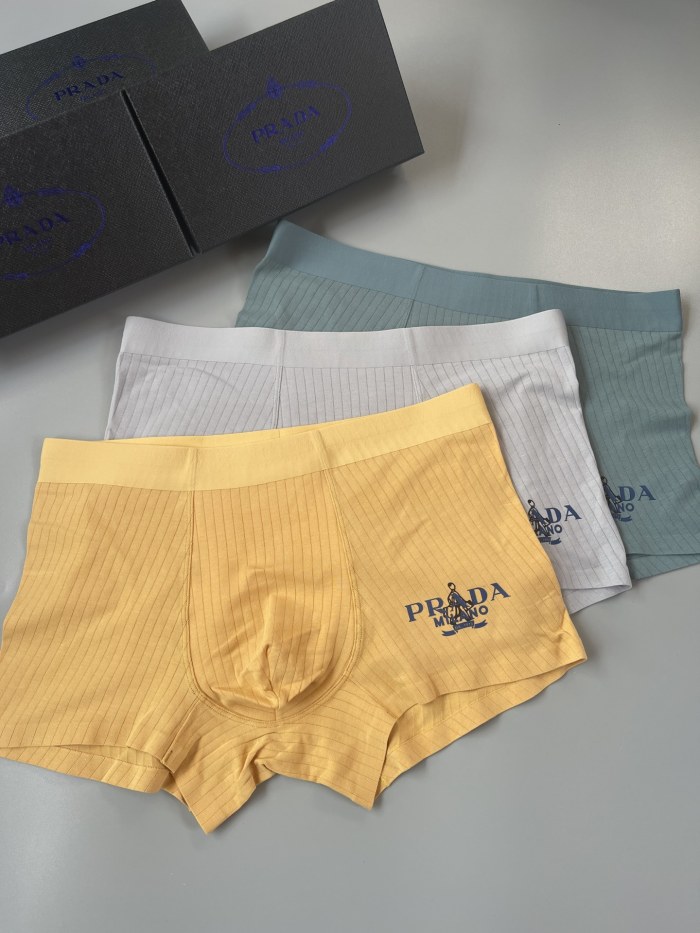 Underpants Top 3 Pieces