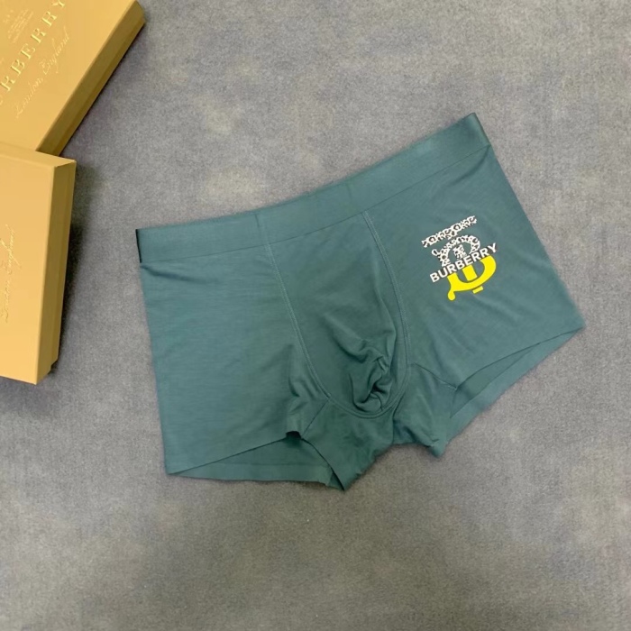 Underpants Top 3 Pieces