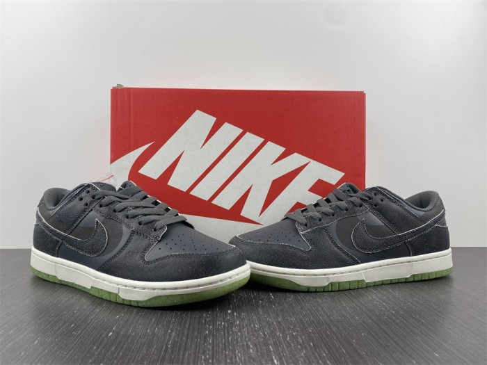 SB Dunk Low Iron Grey DQ7681-001