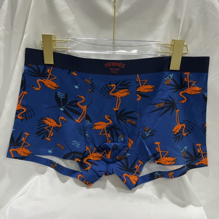 Underpants Top 3 Pieces