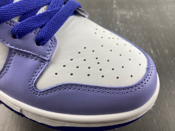 Nike Dunk Low GS “Blueberry” DZ4456-100