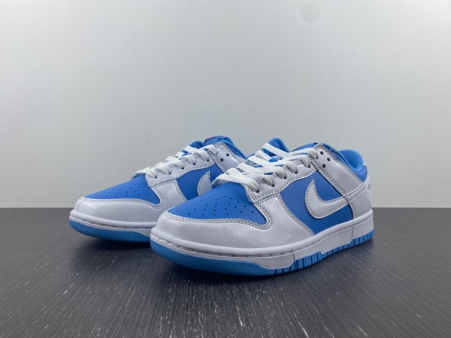 Nike SB Dunk Low DJ9955-101