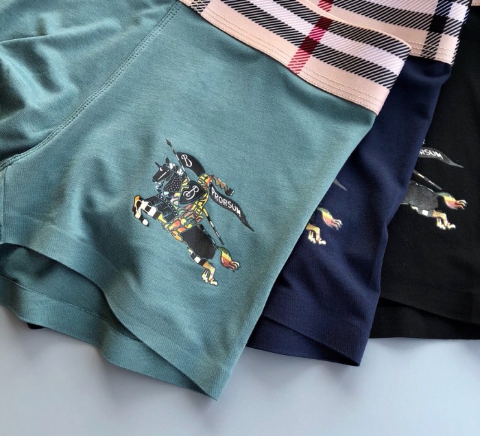 Underpants Top 3 Pieces