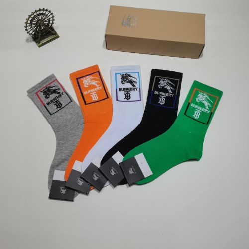 Socks 5 pairs