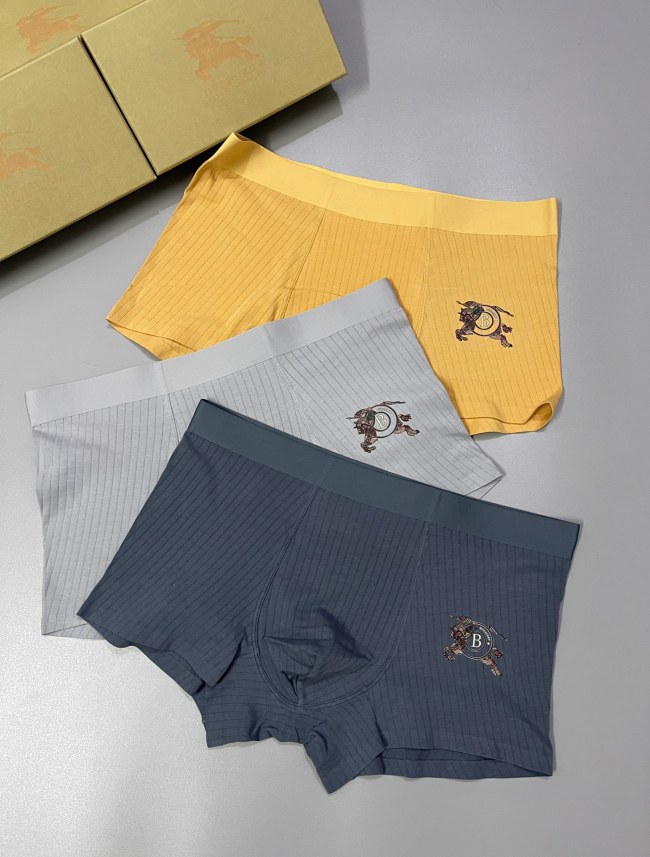 Underpants Top 3 Pieces