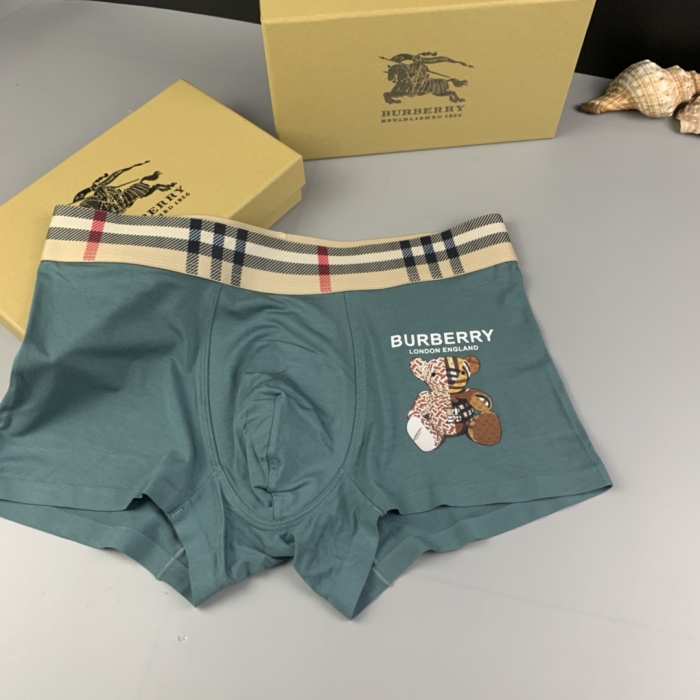 Underpants Top 3 Pieces