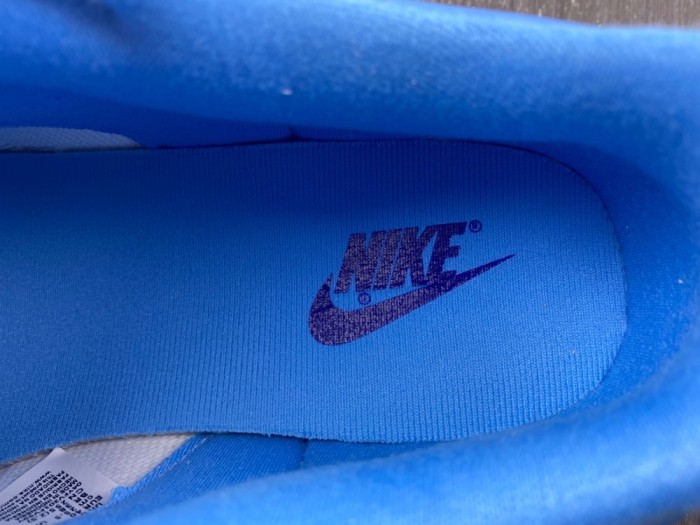 Nike SB Dunk Low DJ9955-101