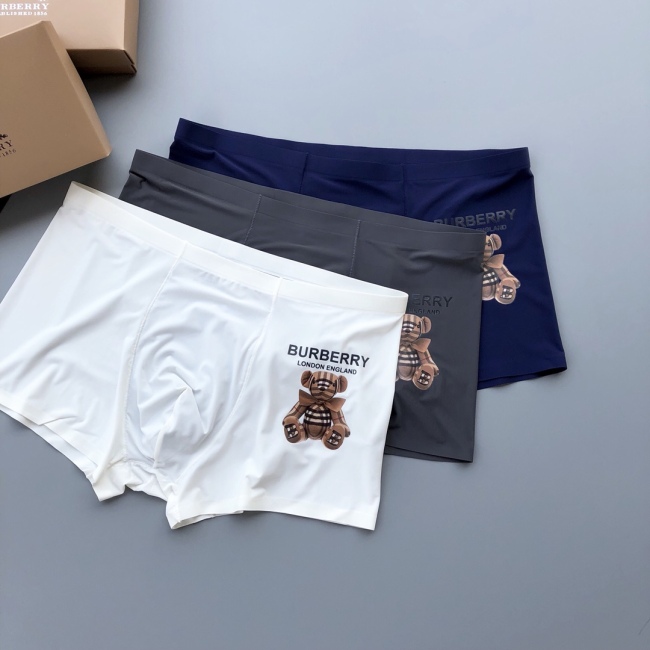 Underpants Top 3 Pieces