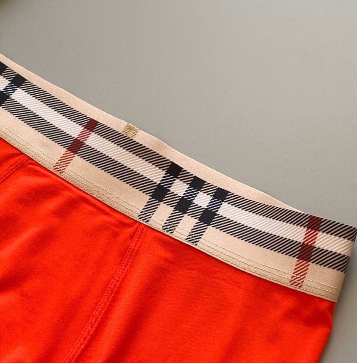 Underpants Top 3 Pieces