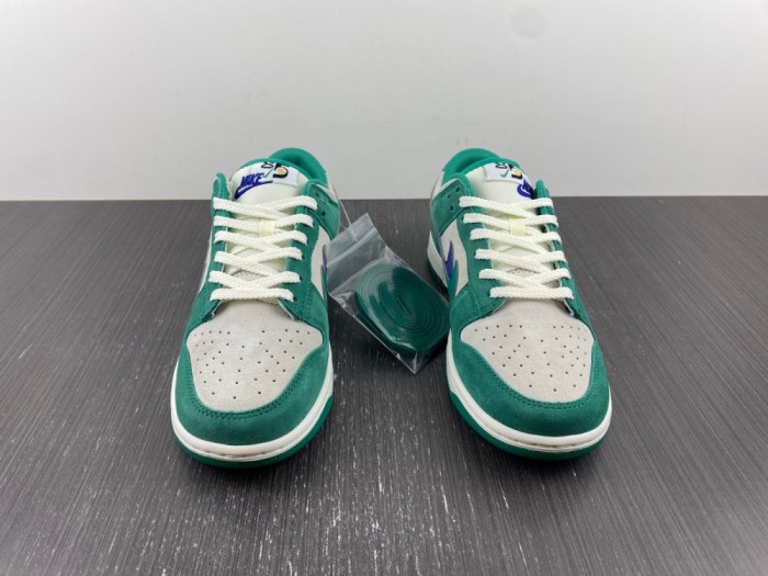 Nike SB Dunk Low DO9457-101