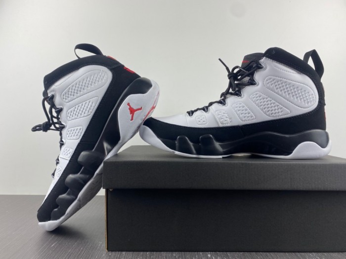 Air Jordan 9 302370-112