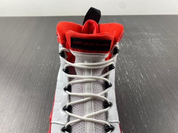 Air Jordan 9 302370-160