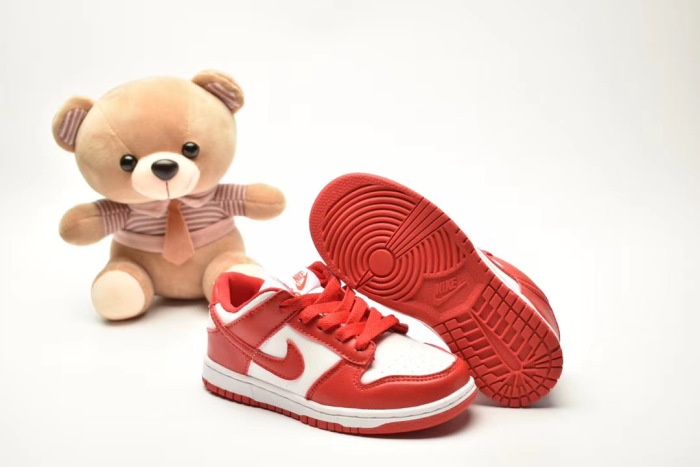 Kids SB Dunk Shoes