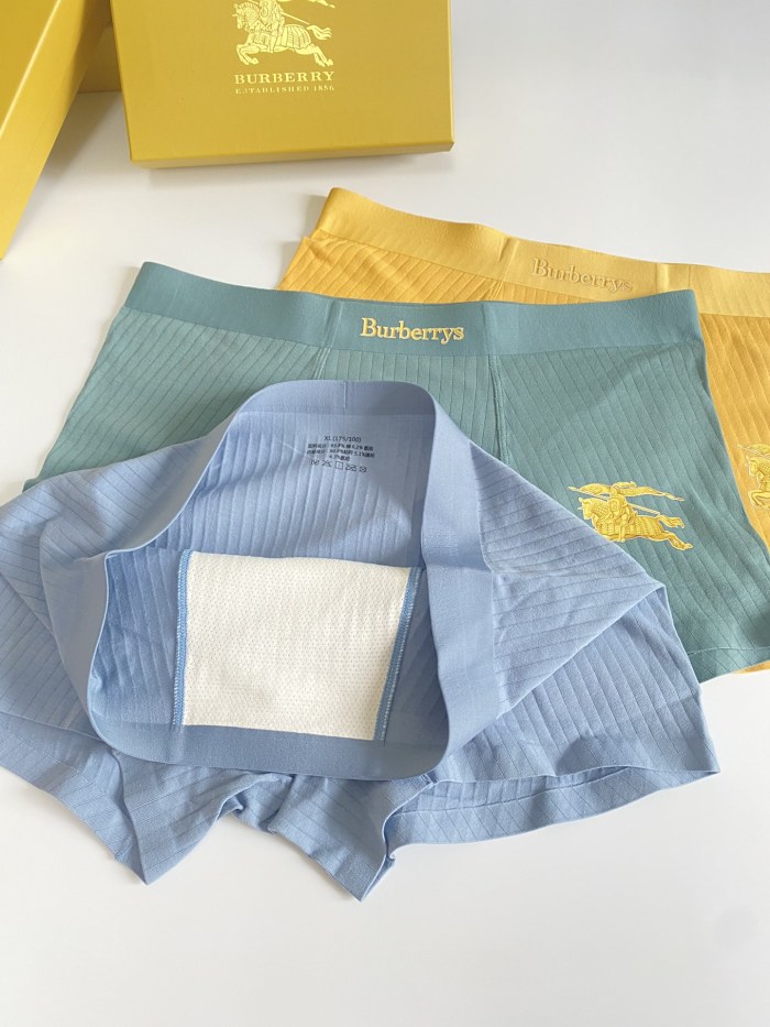 Underpants Top 3 Pieces