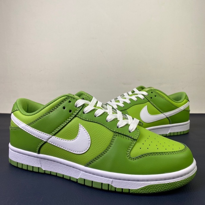 Nike SB Dunk Low DJ6188 300