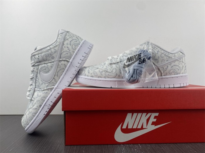 Nike Dunk Low DJ9955-100