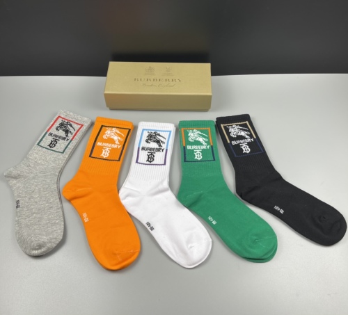 Socks 5 pairs