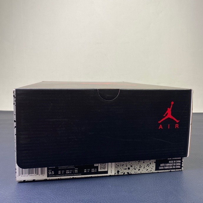 Air Jordan 6