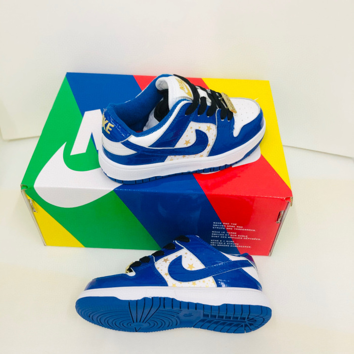 Kids SB Dunk Shoes