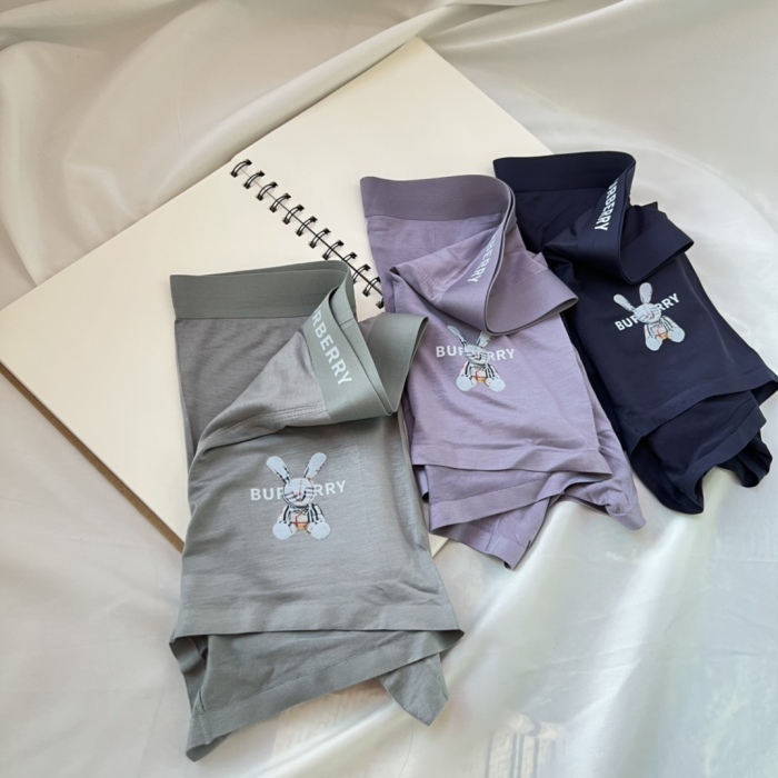 Underpants Top 3 Pieces