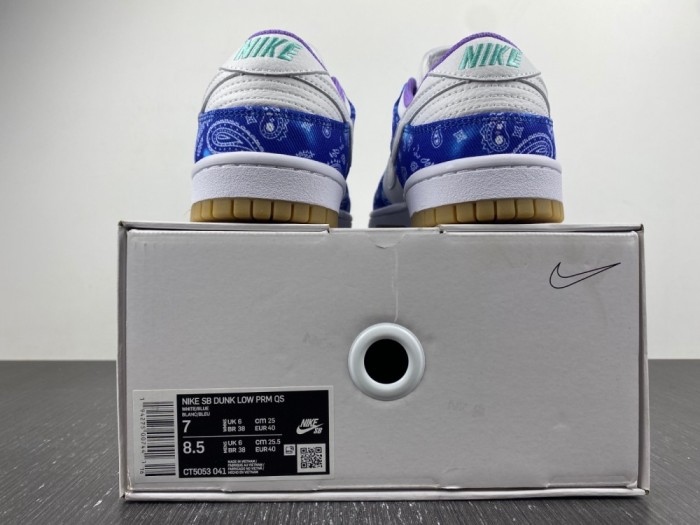 N*ike SB Dunk Low Retro SP CT5053-041
